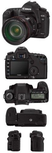 Canon EOS 5D Mark II +  EF 24-105mm