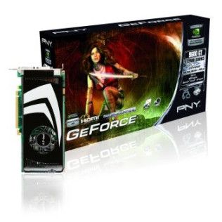 PNY GeForce 9600 GT 512Mo