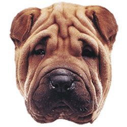 Zedem - Mediastore Tapis de Souris Tête de chien