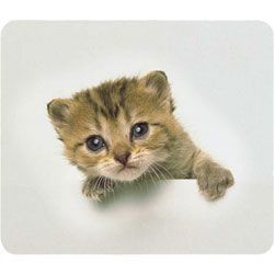 Zedem - Mediastore Tapis de Souris Chat