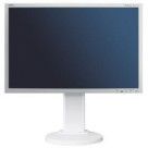 Nec MultiSync E222W