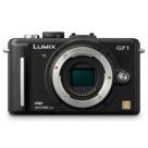 Panasonic Lumix DMC-GF1 (Black)