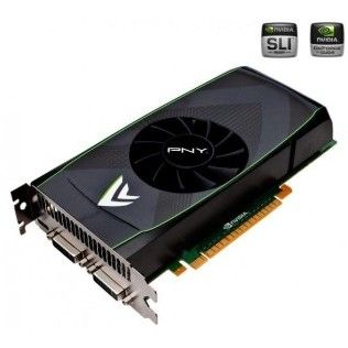 PNY GeForce GTS 450 1Go