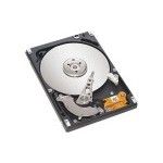 Seagate 1To S-ATA III Laptop SSHD (ST1000LM014)