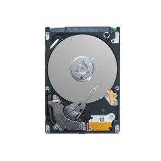 Seagate 1To S-ATA III 64Mo (ST91000640NS) Constellation.2