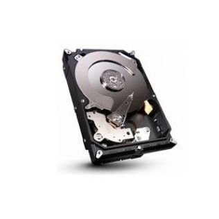 Seagate 750Go S-ATA II 8Mo (ST750LM022) Momentus SpinPoint