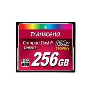 Transcend Compact Flash 256Go (800x)