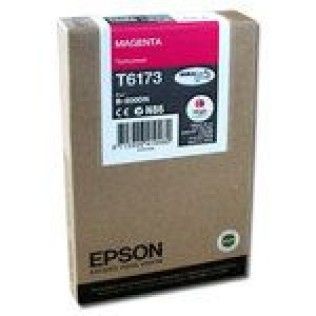 Epson T6173