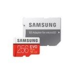 Samsung Evo Plus SDXC 256 Go (100Mo/s) + adaptateur SD