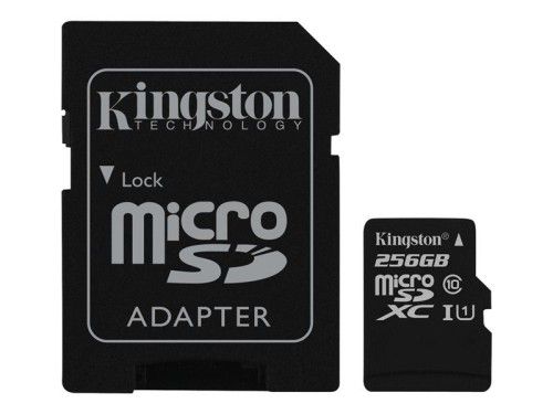 KINGSTON carte mémoire flash - 256 Go - microSDXC UHS-I