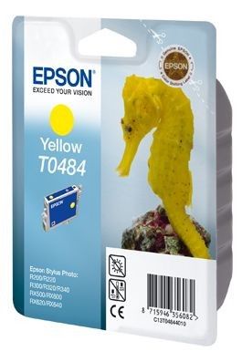 Epson T0484