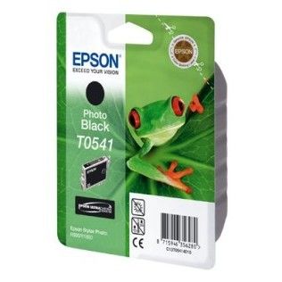 Epson T0541