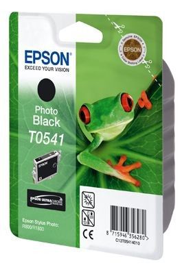 Epson T0541
