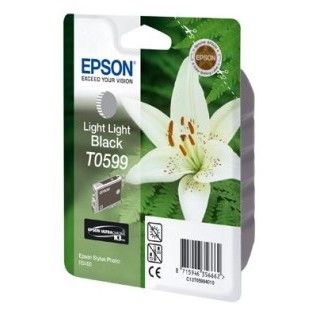 Epson T0599