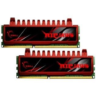 G.Skill RipJaws RL DDR3-1600 CL9 8Go (2x4Go)