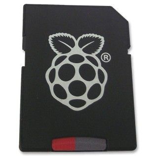 Raspberry carte microSDHC 8 Go avec NOOBS