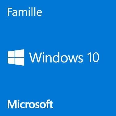 Microsoft Windows 10 Famille 64 bits - OEM (DVD)