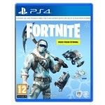 Fortnite - Pack Froid Éternel (PlayStation 4)