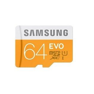 Samsung Micro SDXC EVO 64Go Class 10