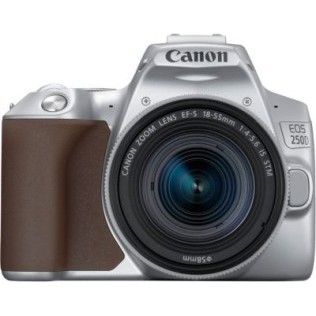 Appareil photo Reflex Canon EOS 250D Argent 18-55 IS STM