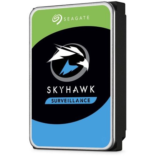 Seagate SkyHawk AI 10 To (ST10000VE0008)