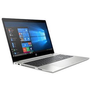 HP ProBook 455 G7 (1F3N8EA)
