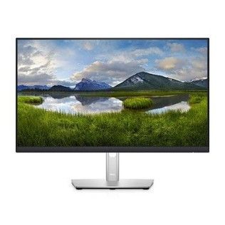 Dell 23.8" LED - P2422HE