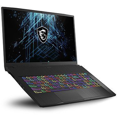 MSI GF75 Thin 10UEK-022FR