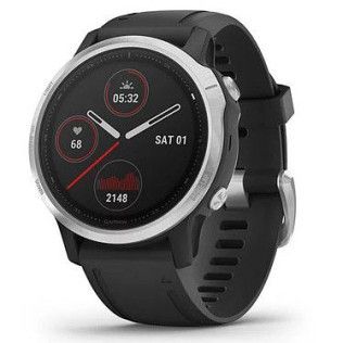 Garmin fenix 6s (Argent/Noir)