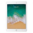 Apple iPad Air 2 WiFi (A1566) 16Go or