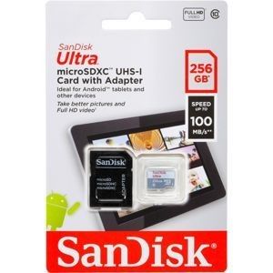 SanDisk Ultra microSDXC 256 Go + adaptateur SD