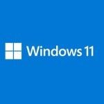 Microsoft 11 Professionnel 64 bits - OEM (DVD)