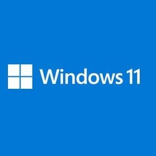 Microsoft 11 Professionnel 64 bits - OEM (DVD)