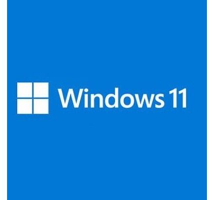 Microsoft 11 Professionnel For Workstation 64 bits - OEM (DVD)