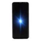 Samsung Galaxy S8+ (SM-G955F) 64Go argent polaire