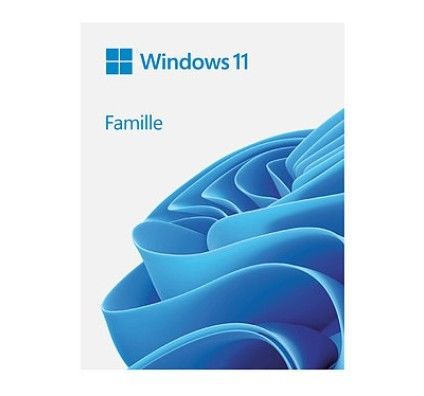 Microsoft Windows 11 Famille 64 bits - Version clé USB
