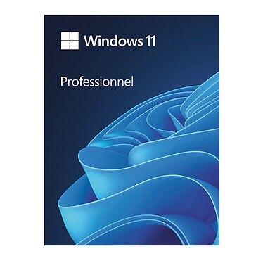 Microsoft Windows 11 Professionnel 64 bits - Version clé USB