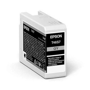 Epson Singlepack Gray T46S7 UltraChrome Pro 10 ink
