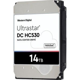 Western Digital Ultrastar DC HC530 14 To (0F31170)