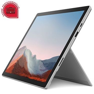 Microsoft Surface Pro 7+ for Business - Platine (1NB-00003)