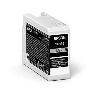 Epson Singlepack Light Gray T46S9 UltraChrome Pro 10 ink