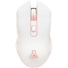 The G-Lab KULT HELIUM WL (Blanc)