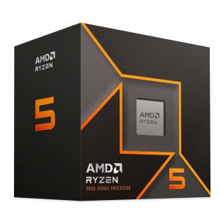 AMD Ryzen 5 9600