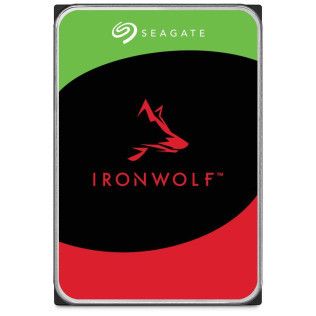 Seagate Technology Seagate IronWolf - 10 To - 256 Mo
