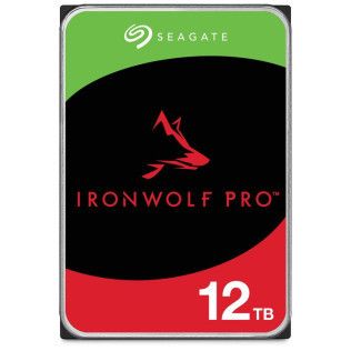 Seagate Technology Seagate IronWolf Pro - 12 To - 256 Mo
