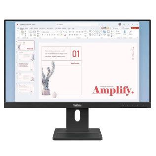 Lenovo ThinkVision E24-40