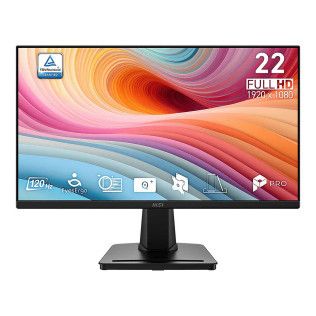 MSI PRO MP225 E12VL