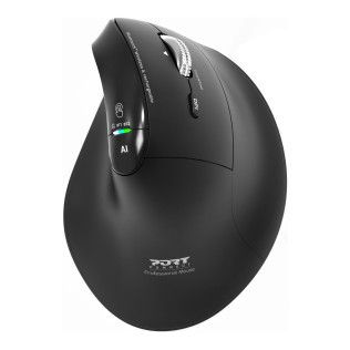 Port Connect Ergo Auditor