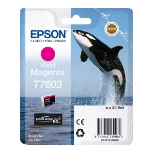 Epson Magenta T7603