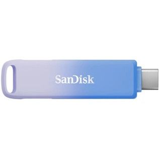 Sandisk CREATOR 256GO